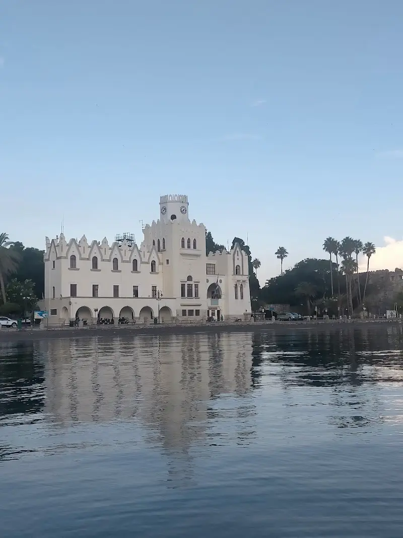 Hippocrates Plane Tree