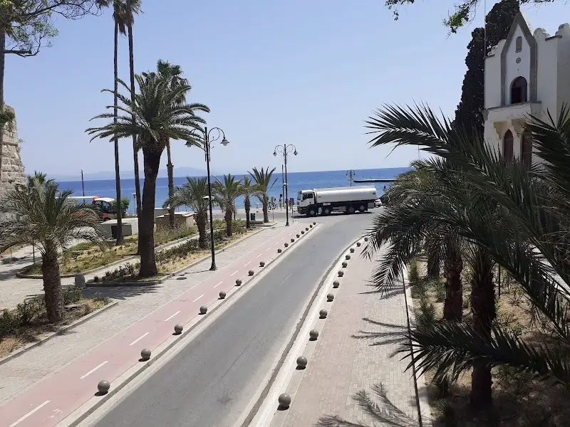 Hippocrates Plane Tree